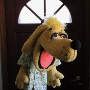 Drake the Dog
