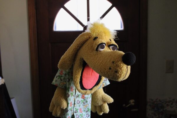 Drake the Dog
