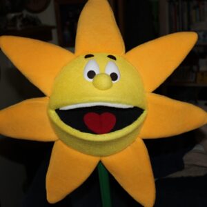 The Sun