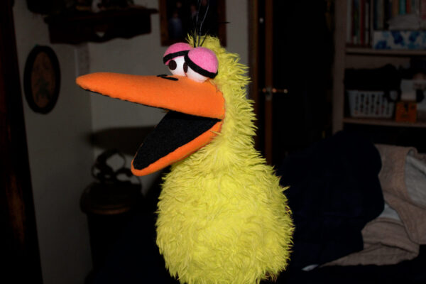 Bird Puppet - Image 4